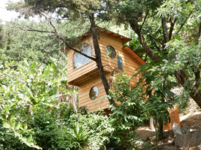 Treehouse Retreat - Glamping Plus